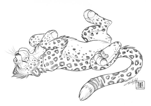 Леопард скетч
