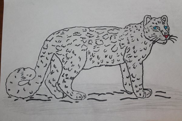 Снежный Барс пластилинография