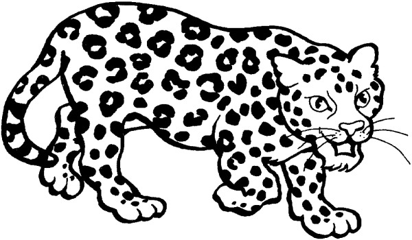 Переднеазиатский леопард раскраска