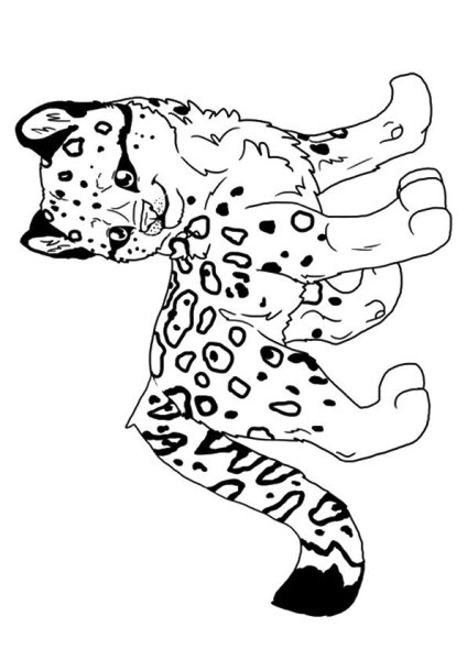 Раскраска леопард