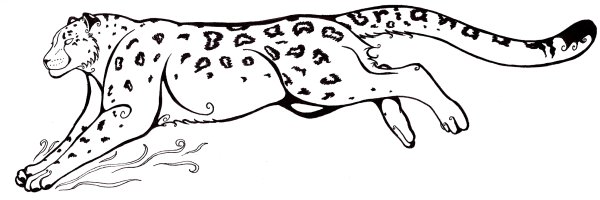 Снежный Барс контур