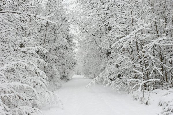 Настоящая зима