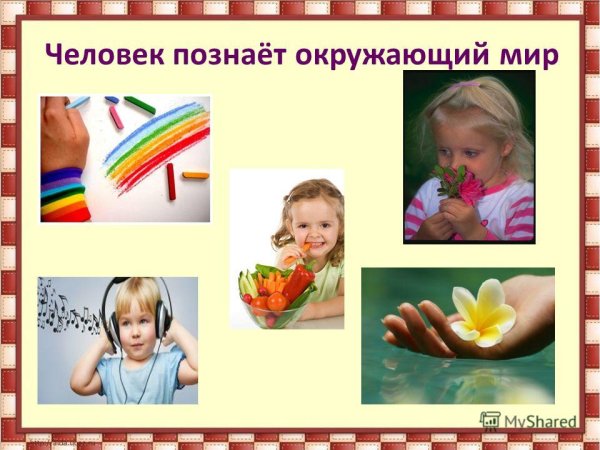 Человек познает окружающий мир