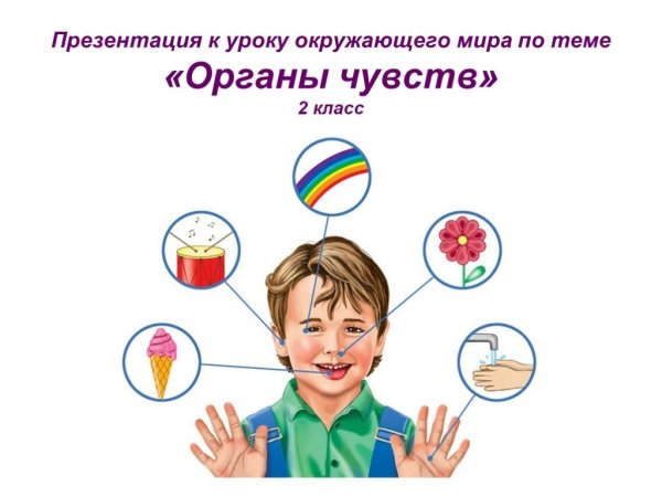 Как мы воспринимаем информацию