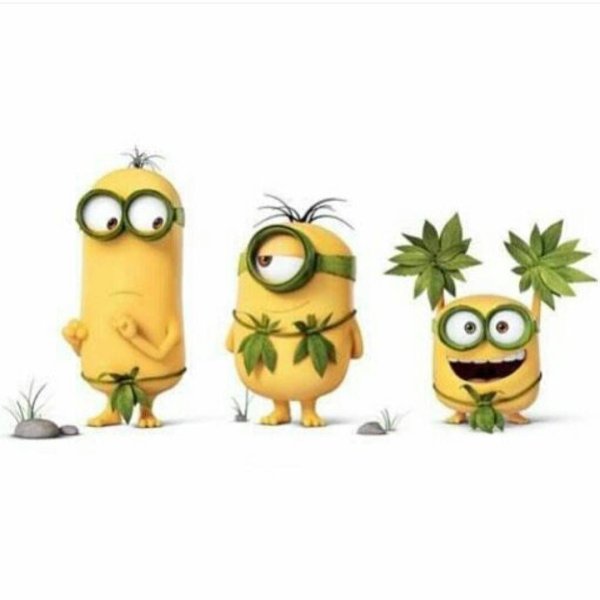 Миньоны на отдыхе