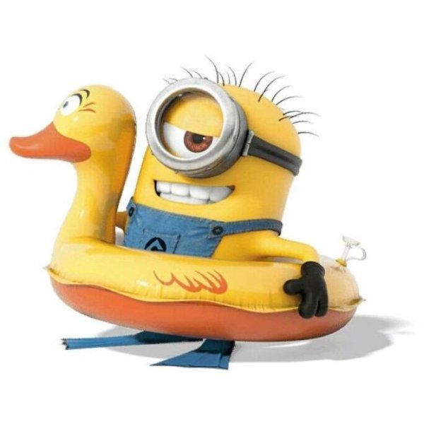 Миньон с уточкой