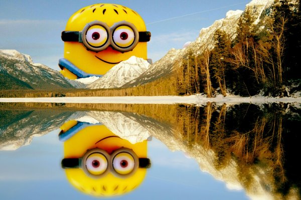 Миньоны на природе