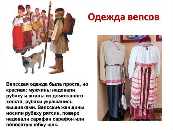 Вепсы презентация