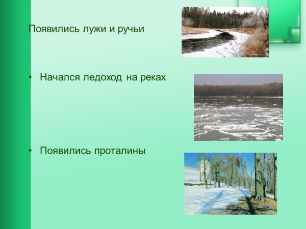 Появляются первые проталины