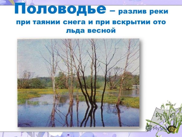 Половодье это определение