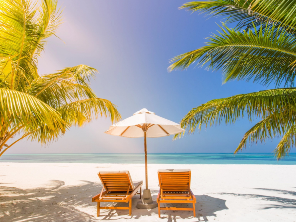 Красивые шезлонги для пляжа