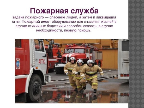 Сведения о пожарных