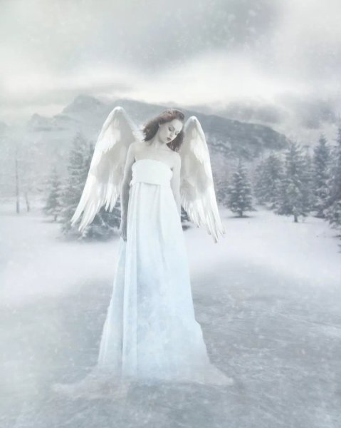 Ангел на снегу