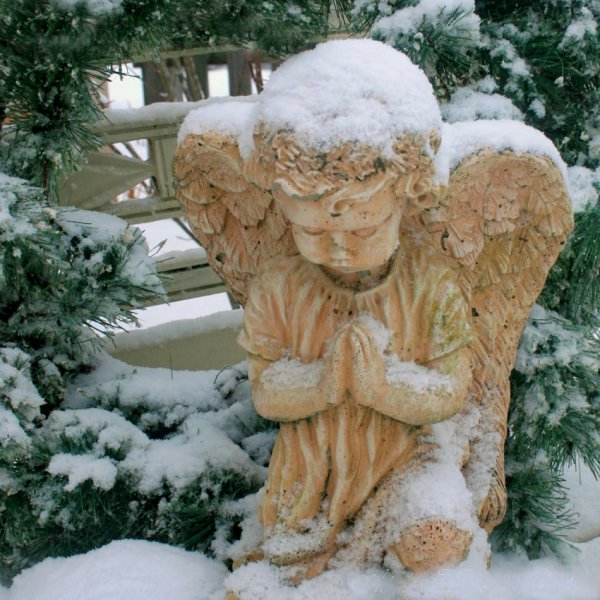 Скульптуры в зимнем саду