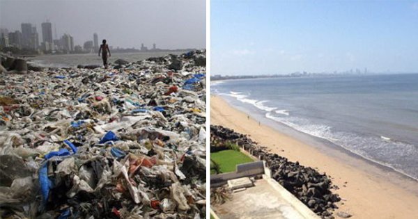 Пляж Мумбаи очистили от мусора