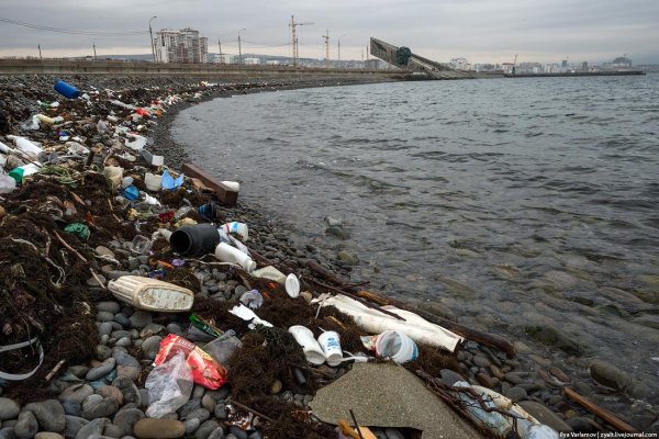 Загрязнение черного моря