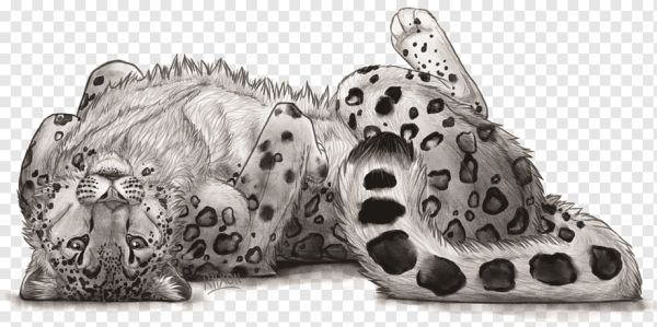 Барс лежащий карандашом