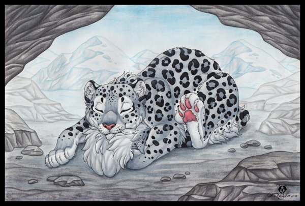 Снежные Барсы мультяшные