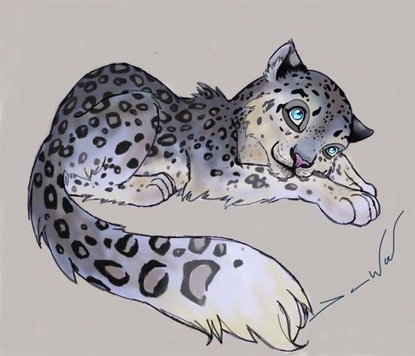 Снежный Барс референс