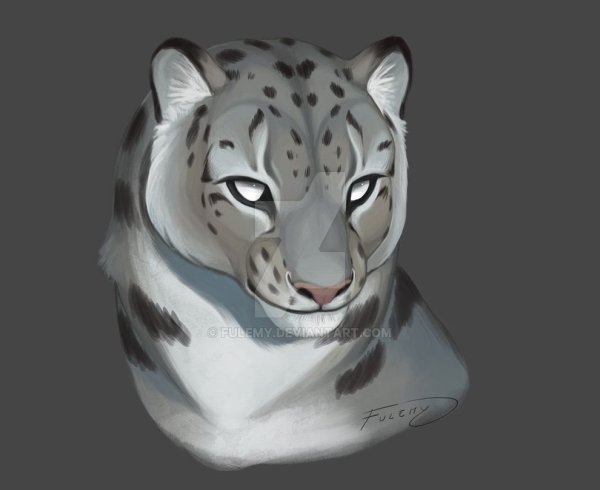 Снежный Барс референс