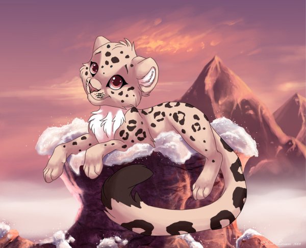 Снежный Барс и леопард