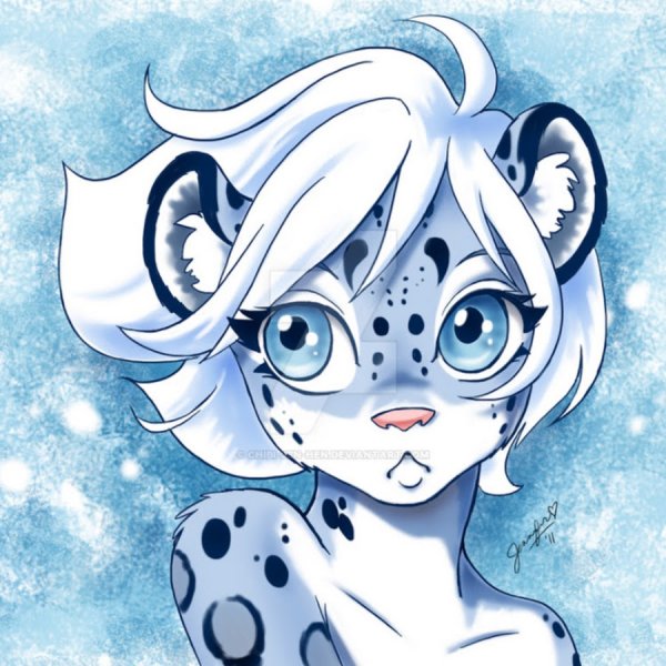 Снежный Барс Чиби