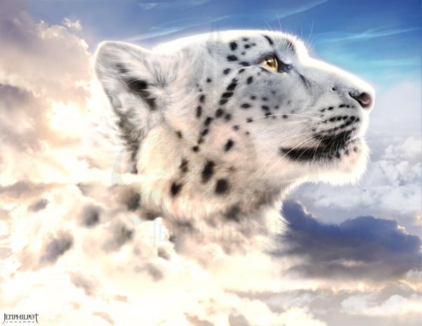 Снежный Барс голова