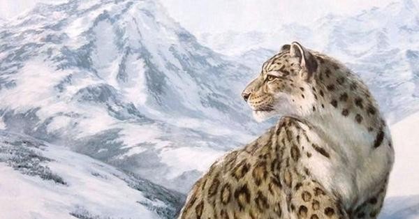 Рисунок горы т снежный Барс Эра земли