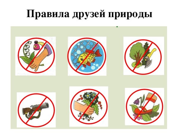 Правила друзей природы 2 класс