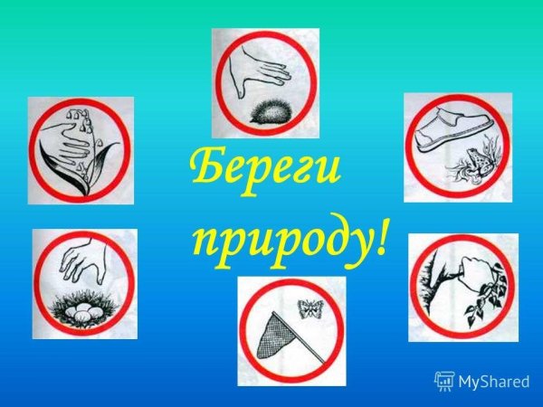 Берегите природу