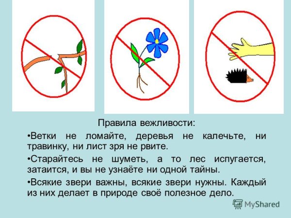 Правила поведения в окружающей среде знаки