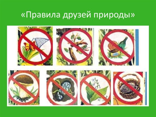 Правила друзей природы и экологические знаки
