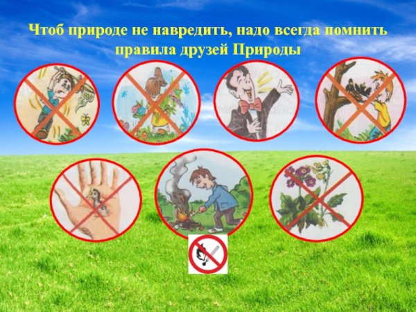 Памятка друзей природы