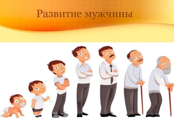 Этапы жизни человека в картинках