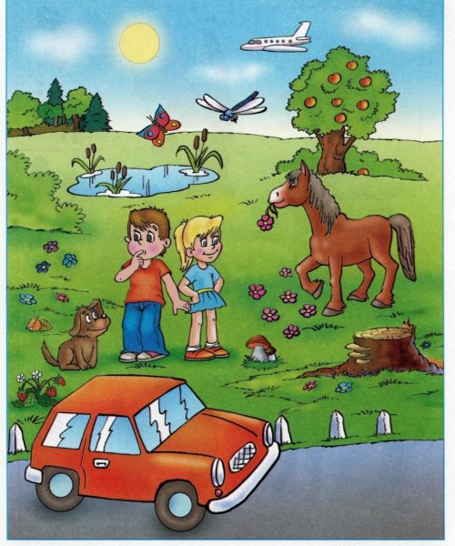 Окружающий мир для дошкольников