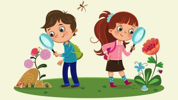 Дети наблюдают за природой