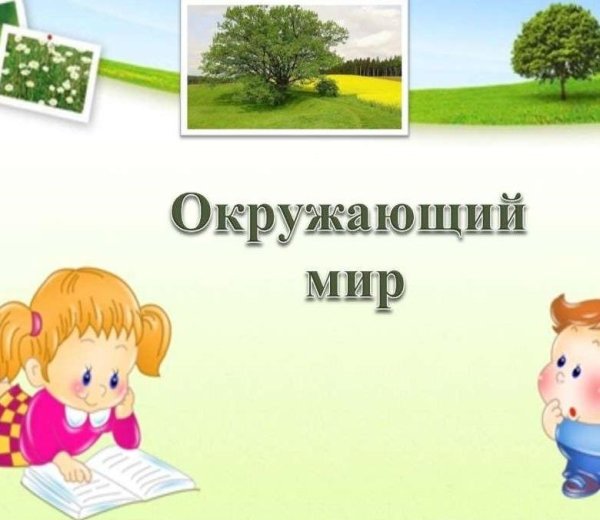 Окружающий мира презентация
