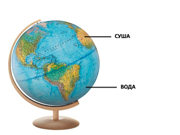 Глобус схема