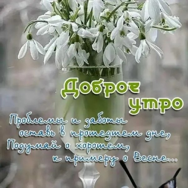 Доброе Весеннее утро