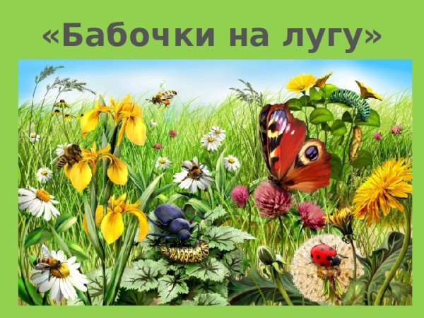 Обитатели лугов