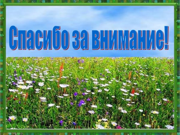 Луговое сообщество
