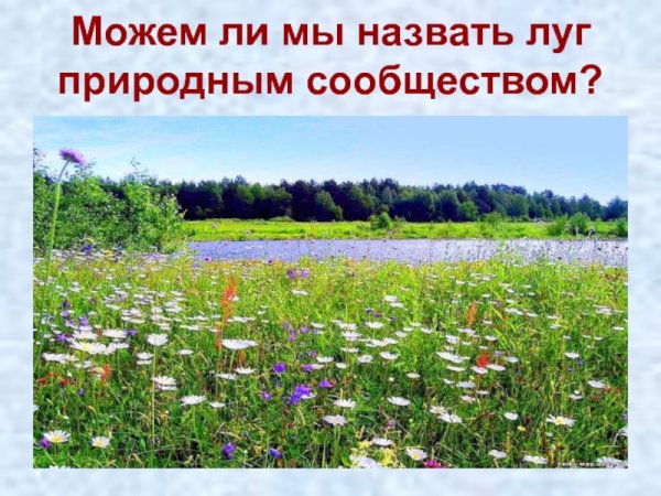 Природное сообщество Лу