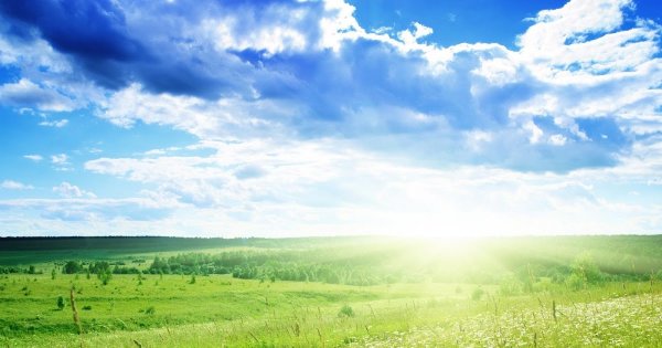 Предметная неделя окружающий мир