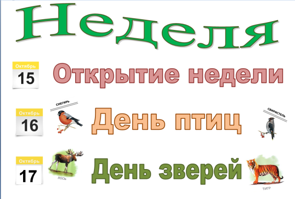 Неделя окружающего мира в начальной школе