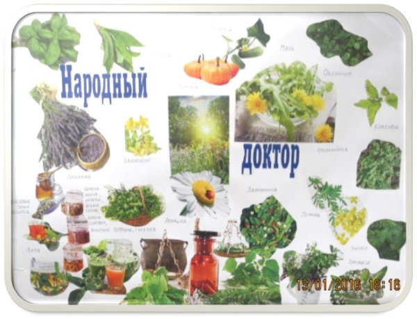 План недели по окружающему миру в начальной школе