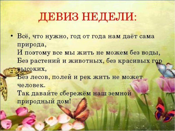 Предметная неделя по окружающему миру в начальной школе
