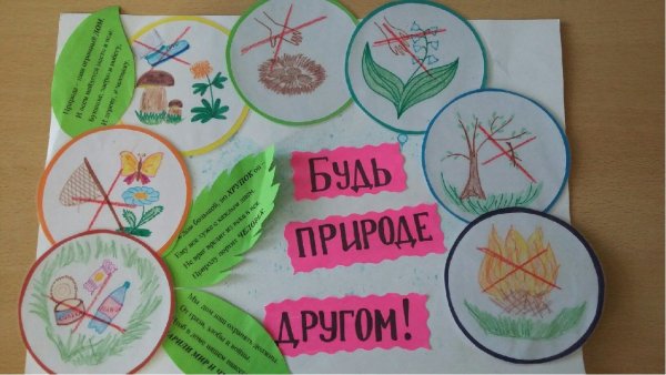 Плакат берегите растения