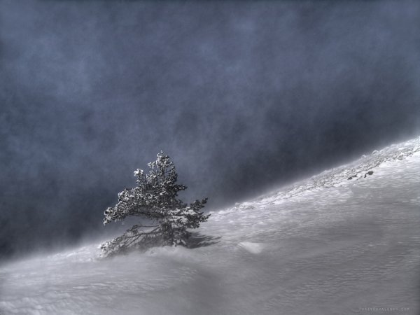 Метель буря