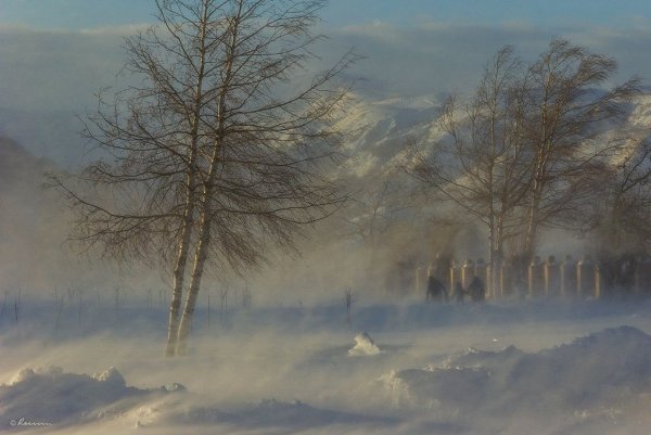 Снежный ветер