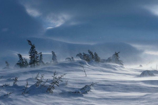Метель Пурга
